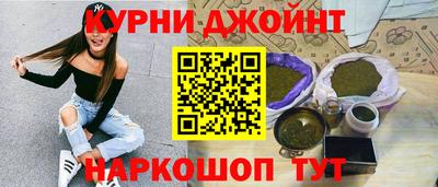 jwh Кингисепп