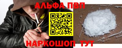 jwh Кингисепп