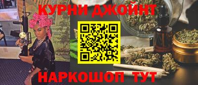 jwh Кингисепп