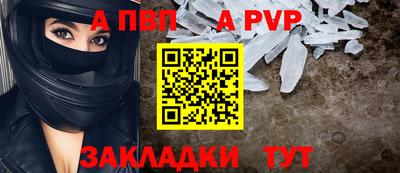 jwh Кингисепп