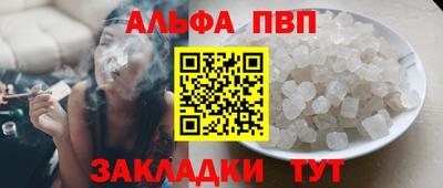 jwh Кингисепп