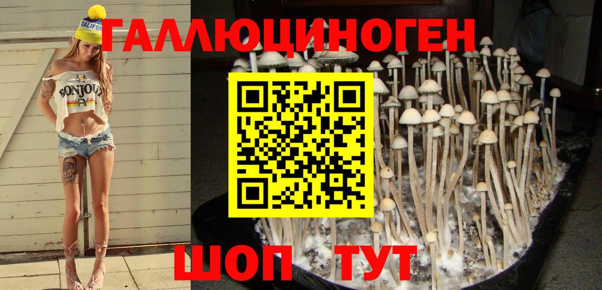 Псилоцибиновые грибы Magic Shrooms Кировск