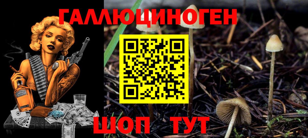 магазин    Псилоцибиновые грибы Psilocybine cubensis  Вход с VPN  Псилоцибиновые грибы мицелий  Кировск 