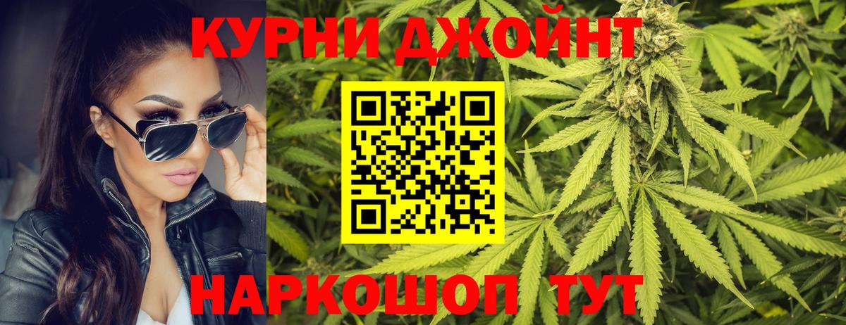 Каннабис сатива  Конопля сатива  Вход с VPN  Конопля семена  Кировск 
